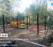 双辽市一马树森林公园项目